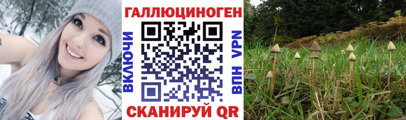 Галлюциногенные грибы MAGIC MUSHROOMS  Барнаул 